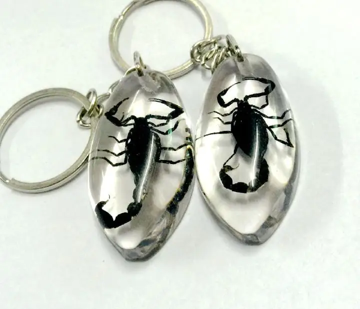 

Free Shipping 10 keychain Insect true specimen scorpion king safe evil friend birthday gift
