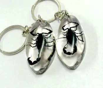 

Free Shipping 10 keychain Insect true specimen scorpion king safe evil friend birthday gift