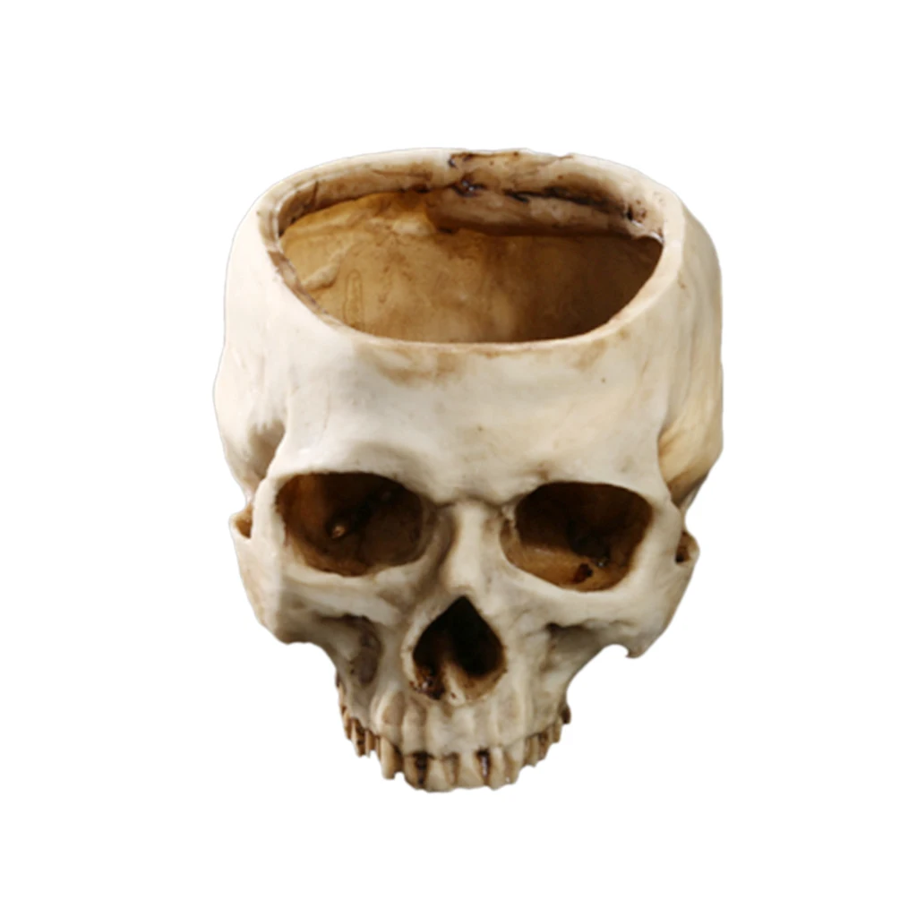 Lab Learning Skull Planter Bowl Statue Sculpture Figurine Succulent Plants Flower Pot Garden Statues  for Anatomical Teaching 