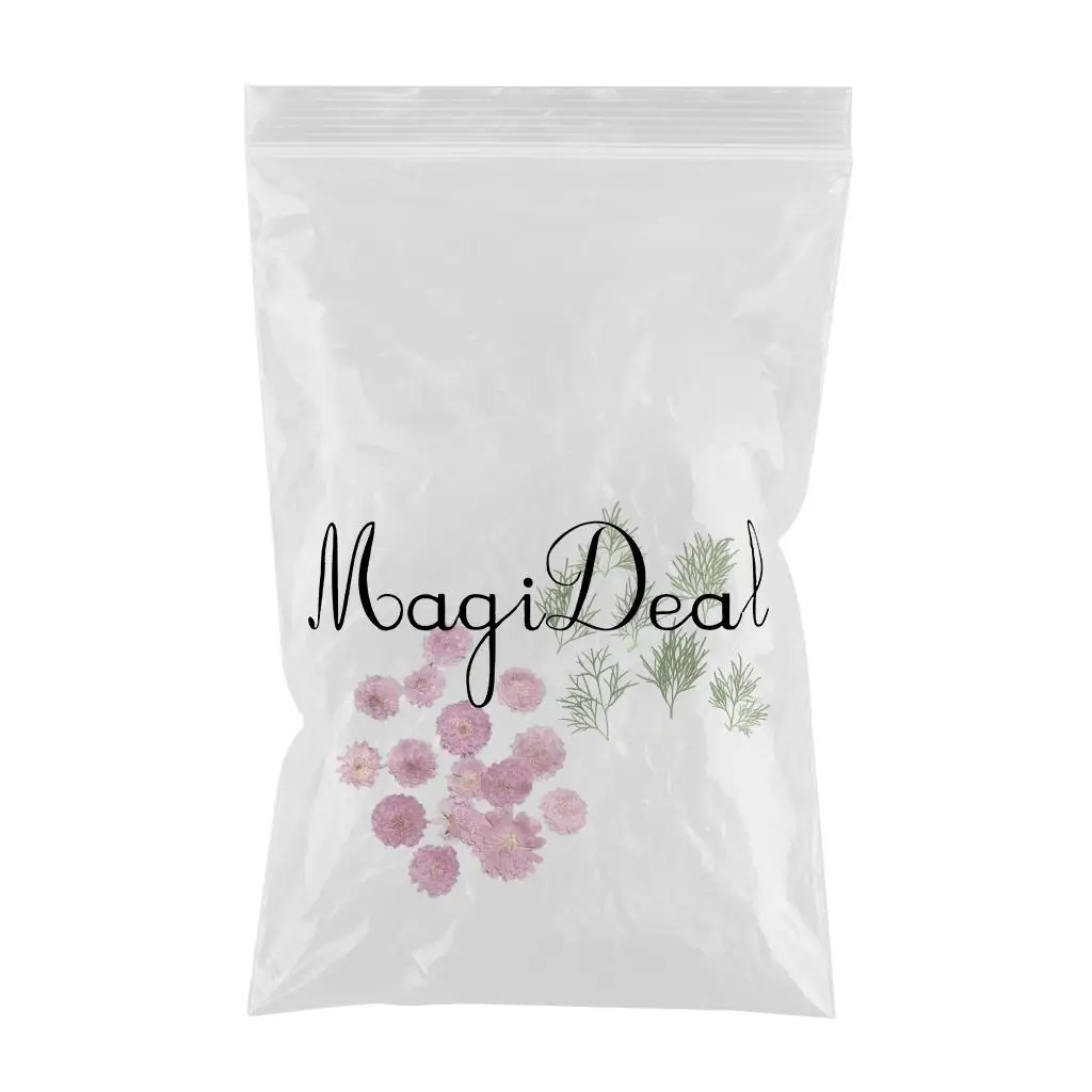 20 pcs Small Pressed Real Dried Flowers Leaves DIY Jewelry Card Album Decor Card Bookmark Album Frame DIY Crafts