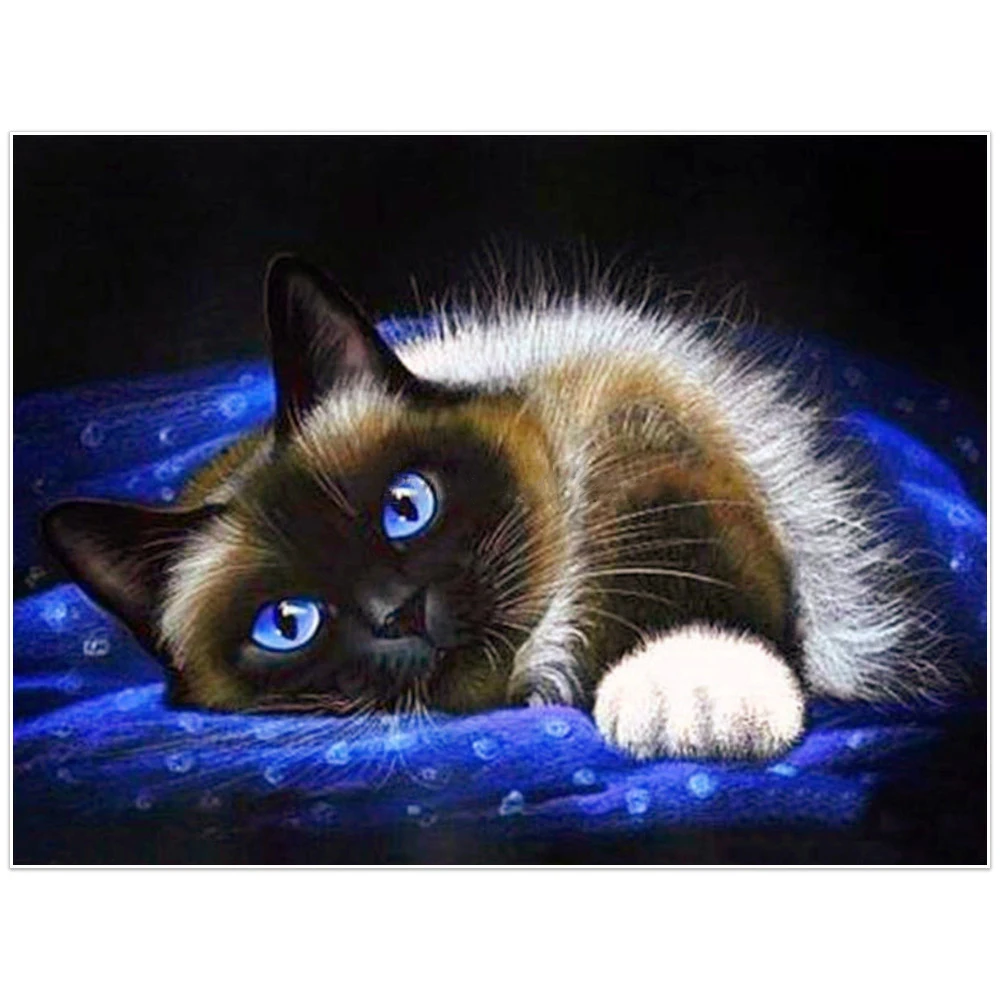 

5D DIY Diamond painting Blue cloth kitten Full square/Round Diamond embroidery Animal Cross Stitch Rhinestone Mosaic decor