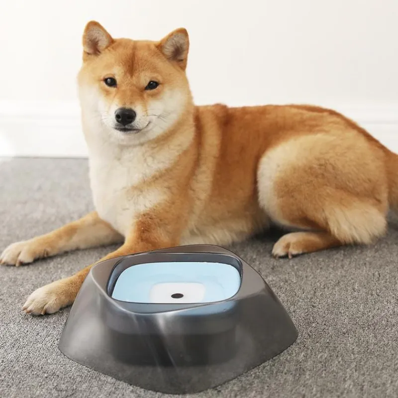 

Pet Dog Drinking Water Device puppy Cat Drinker Bowl Feeders Detachable Floating Not wet mouth Food dish Pet Supplies product