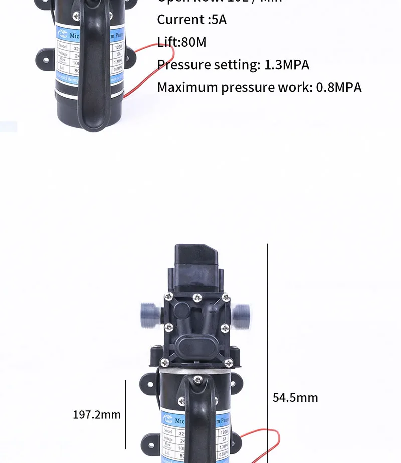 DC 12 В 120 Вт 130PSI 10л/мин сельскохозяйственный Электрический водяной насос черный микро высокого давления мембранный Водяной опрыскиватель