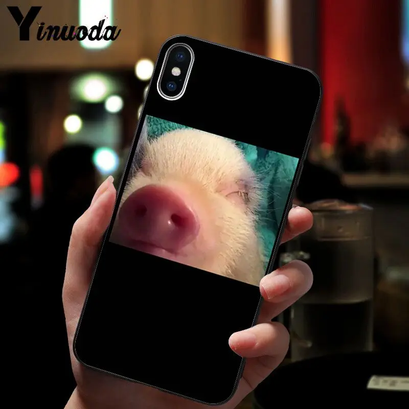 Cute Pig Print 