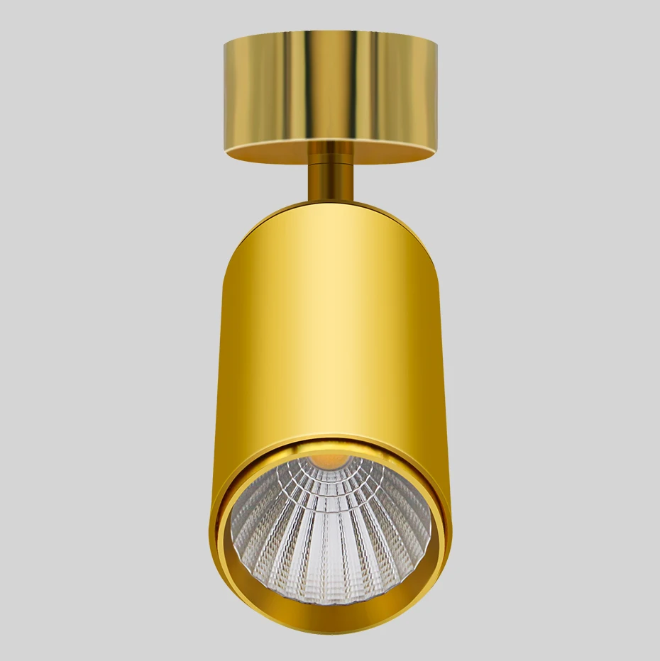 [DBF] вращающийся на 360 градусов Потолочный светильник 5 Вт 7 Вт 10 Вт 12 Вт 15 Вт Регулируемый угол наклона Светодиодный точечный потолочный светильник золотой светильник