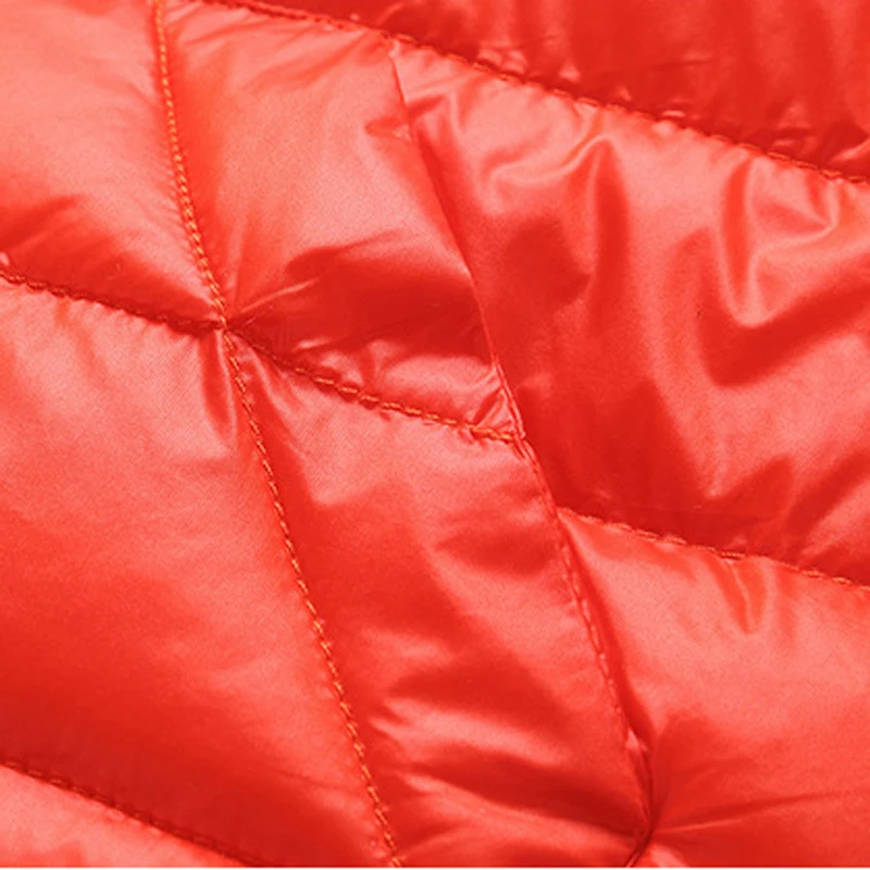 VEST (3)