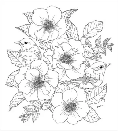Jardin Coloriage Livre Fleur Oiseau Anti Stress Tuer Temps Antistress Coloriage Dessin Art Livres Pour Adultes Enfants Aliexpress Jardin Coloriage Livre Fleur Oiseau Anti Stress Tuer Temps Antistress Coloriage Dessin Art Livres Pour Adultes Enfants Aliexpress