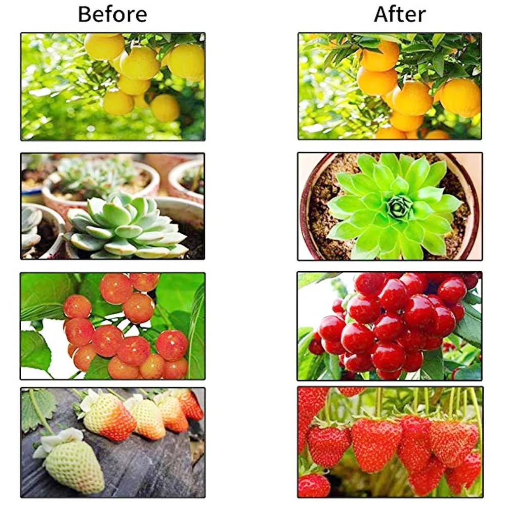 Светодиодный светильник для выращивания растений полного спектра E27 для внутреннего цветочного салата для выращивания теплицы с контроллером фитолампа