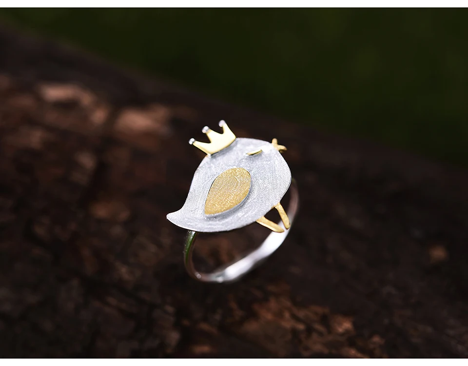 LFJD0085-Lovely-Princess-Bird_04