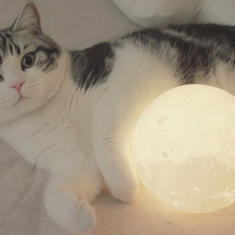 moon lamp 3D