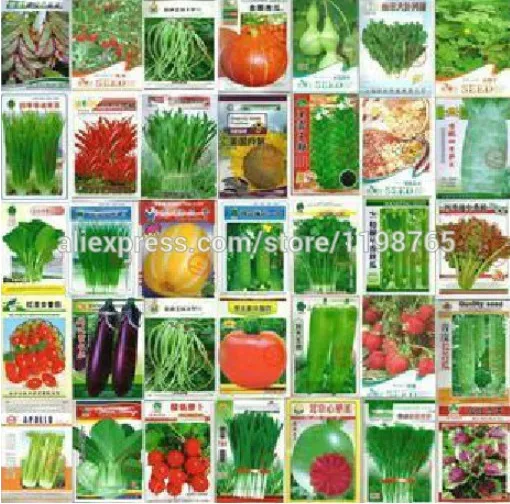 

100 Pcs Bonsai Delicious Cucumber Eggplant Pepper Pumpkin Cabbage Shallot Carrot Tomato Balcony Garden Four Season Vegetable Pot