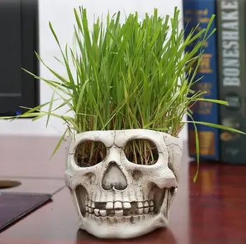 

Creative Indoor Skull-type Potted Planting Articles with New Resin Plants and Herbs