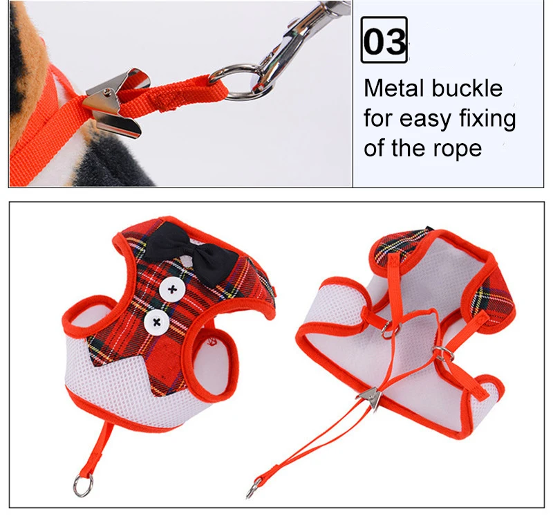 leash for dog (8)