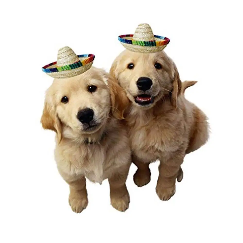 

3Pcs Crazy Nights Natural Straw Mini Dog Hats Mexican Hat Desktop Carnival Birthday Cinco de Mayo Cosplay Party Decorations 20E