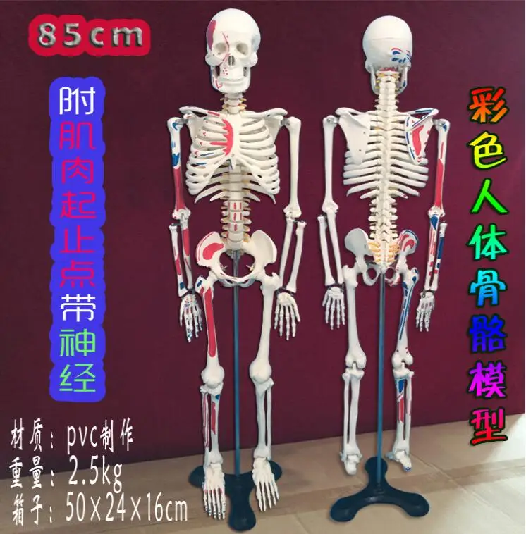 QQ20170907143544