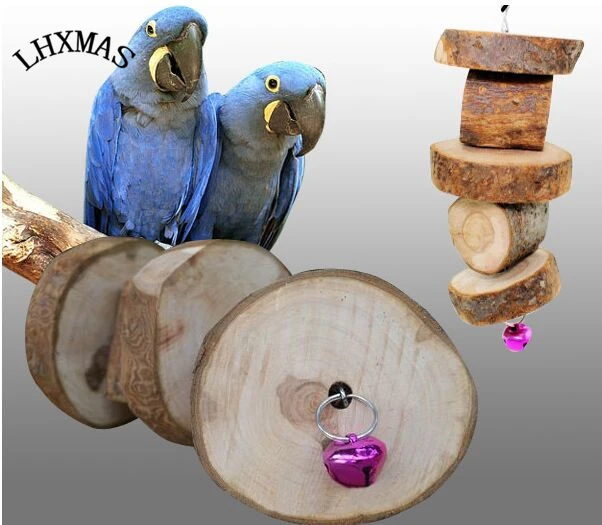 african grey parrot toys