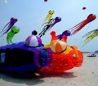 

NEW ARRIVE 3D HIGH QUALITY SOFTWARE CATERPILLAR KITE NYLON CLOTHE POWER WINDSOCKS / INFLATABLE KITES GOOD