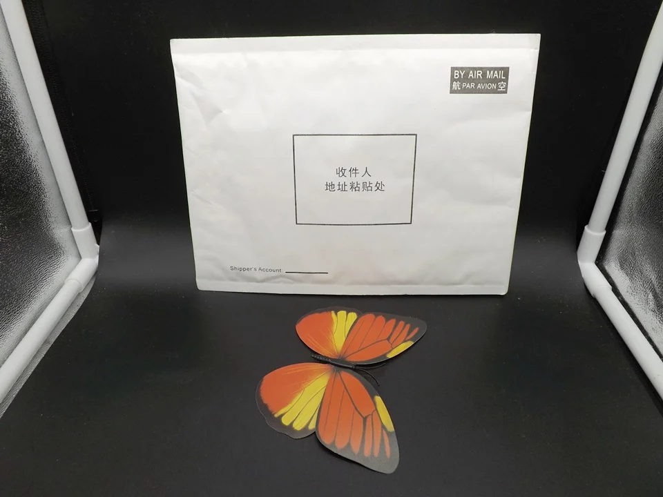 I229-Butterfly (13)
