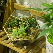 6 89inches Gold Copper Pentagon Ball Shape Open Sphere Glass Geometric Terrarium Succulent Plants Planter Brass