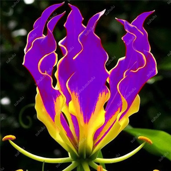 20190930_181323_097