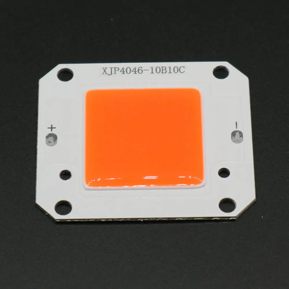 s-l1600 (3)