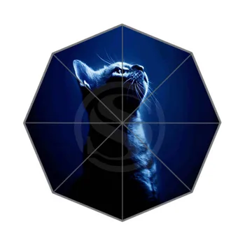 

Lovely cat Custom Umbrella Fashion Design Umbrella For Man And Women High Quality Drop Shipping Hot Sale LUQI -#be29
