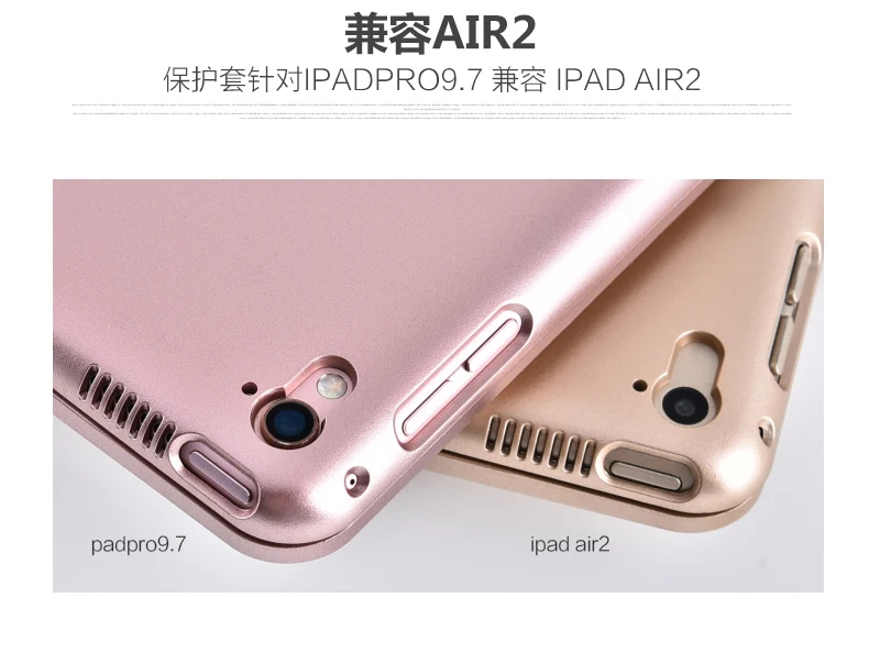 iPad Pro 9.7Air2)  F19 (16)