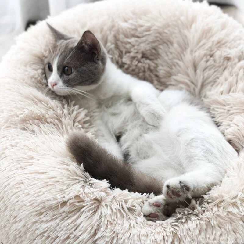 Мягкий флисовый домик-кровать для кошек, зимние теплые кровати для кошек, подушка для сна с котенком, Mascotas Gato Kedi Minderi, товары для домашних животных
