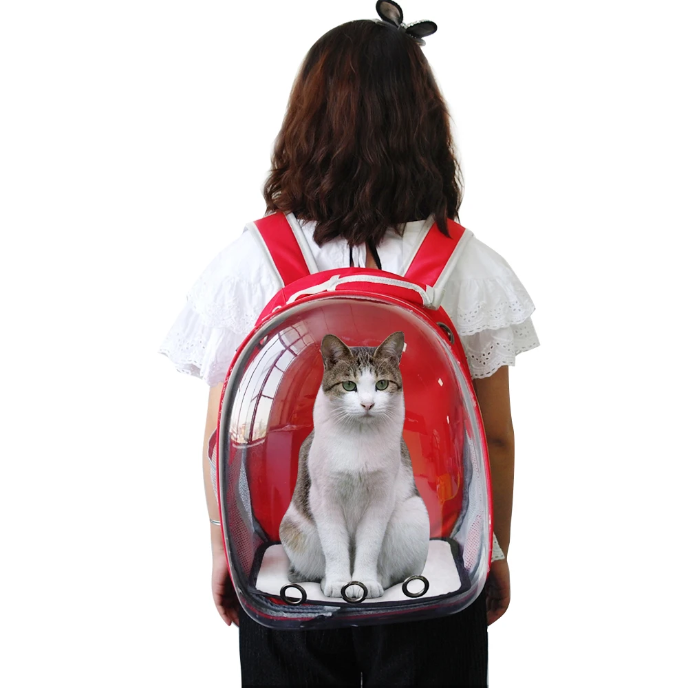 transparent cat bolsa