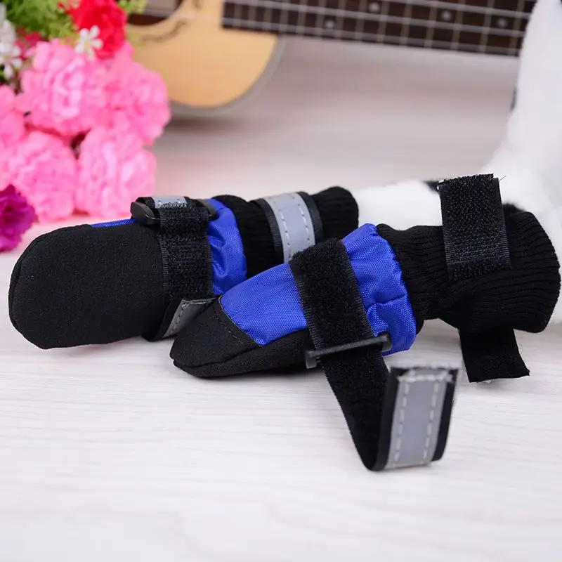 slip on shoes for dog walking