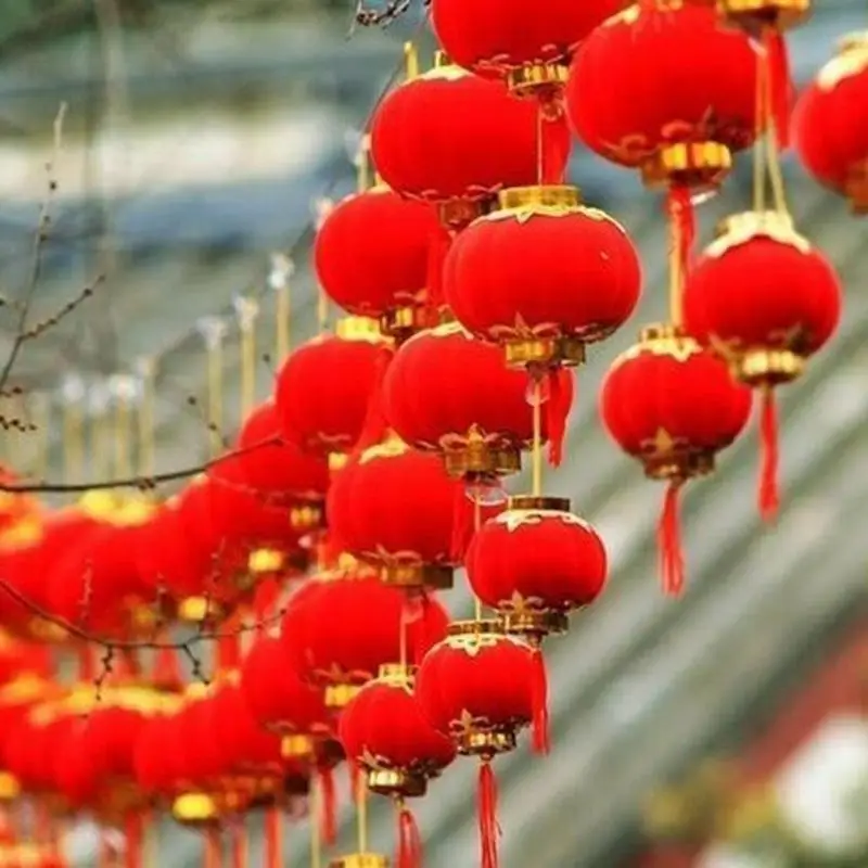 Китайский дракон биань. Китайский красный магазин. Китайские новогодние украшения. Китайский новый год украшения. Красный дракон логотип.