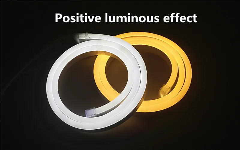 IMG_3461_副本_副本