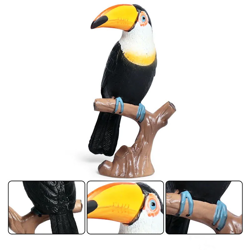  (2)