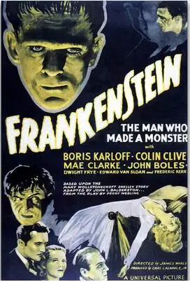 

Frankenstein 1931 Classic Horror Sci-Fi Movie Art Wall Decor Silk Print Poster