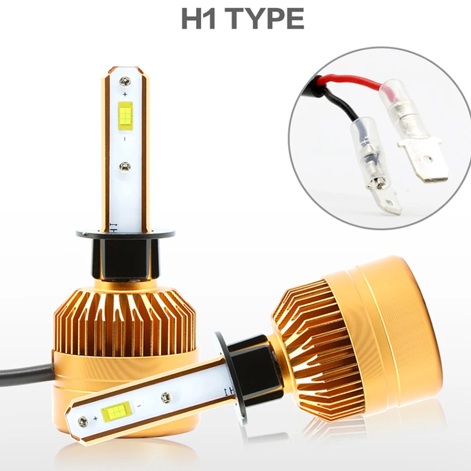 H1
