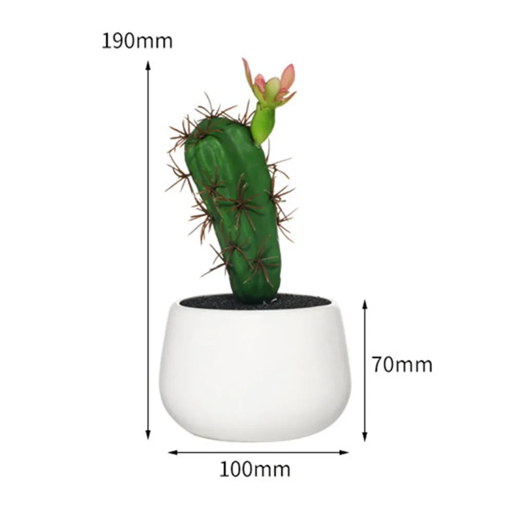 Мини Кактусы В Горшках Купить