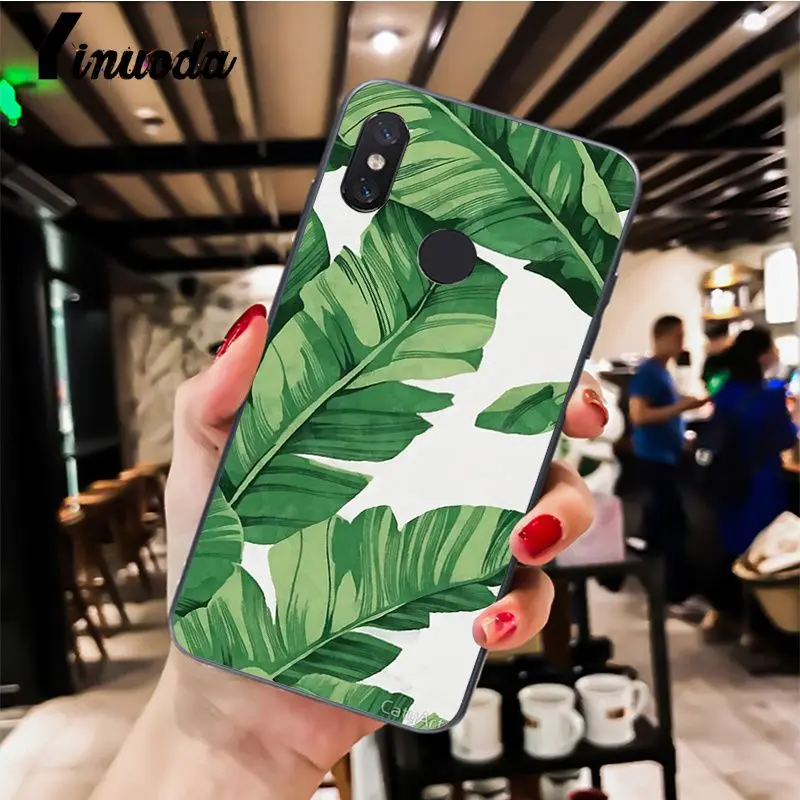 Palm tree Leaves pattern  