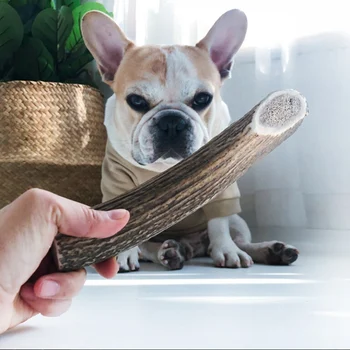 

Dog Tooth Cleaning Food Antlers Pet Chew Toy Durable Teeth Cleaning Bone Toy Dog Molar Sticks Healthy Dog Snack Pets Supplies
