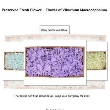 

artificial Sweet Viburnum artificial hydrangea preserved fresh flower Rose covered flowers Big boxes 100 g super high quality