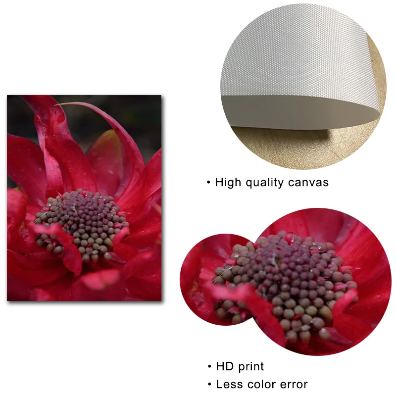 Красный цветочный принт растительный постер Картина на холсте цветочное