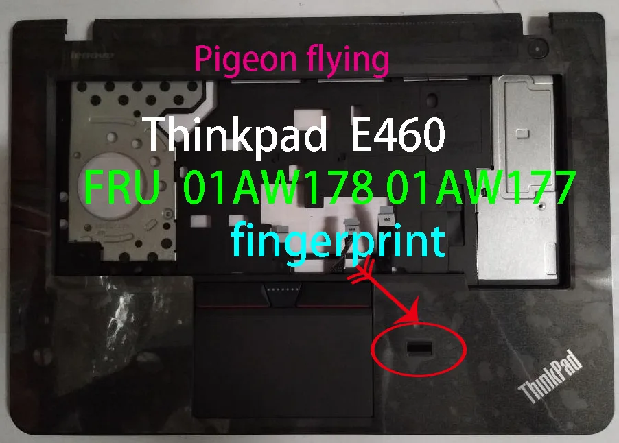 thumb