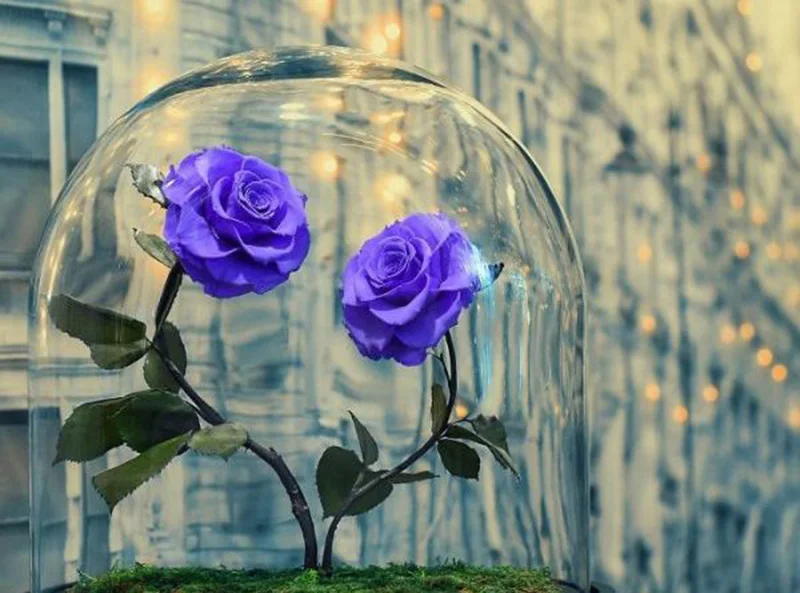 

Park Diamond embroidery Purple roses 5D DIY diamond drawing mosaic Rhinestone Crafts Wall Sticker