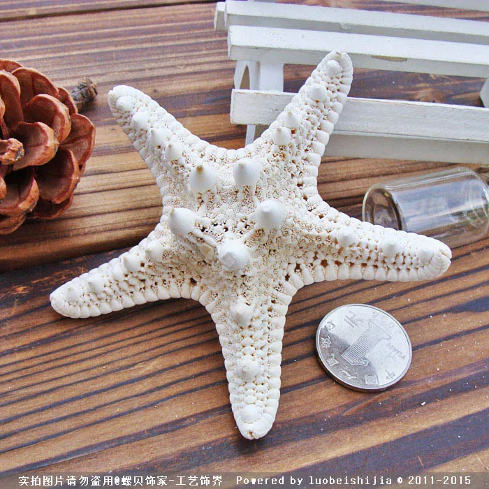 10pcs/lot Shell coral Medium crafts  4-7cm yangtz decoration natural starfish beige white sea star wedding party CRAFTS