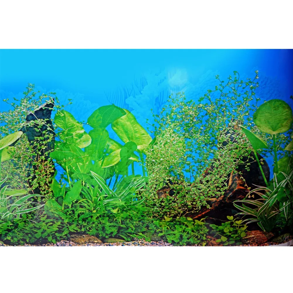 Buy 150*50CM Aquarium Fish Tank Beautiful Sticker 2017 New Decoration High