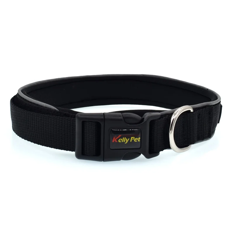 05 dog collar designer 
