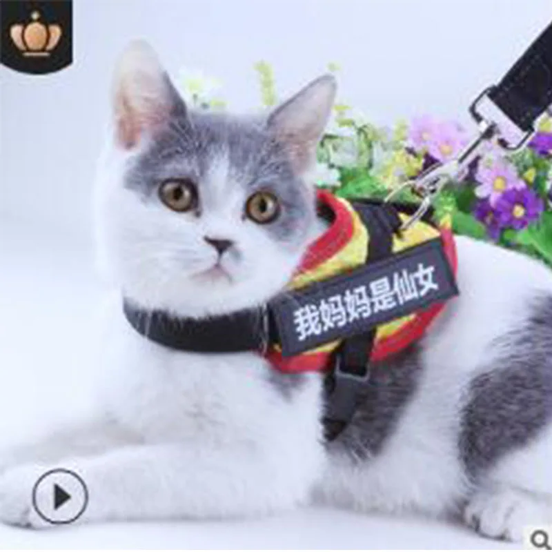 

Pet cat collar with chest strap retractable adjustment traction cat product pet belt