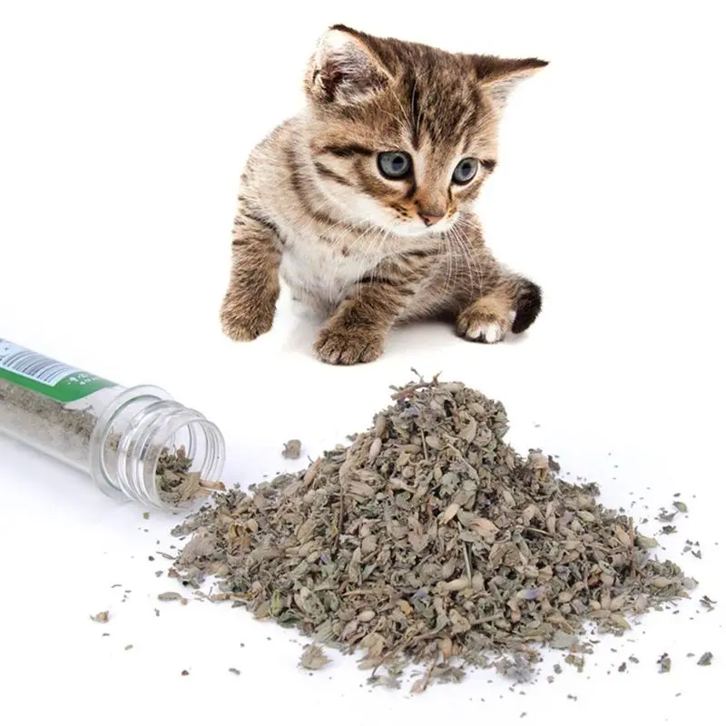 

Pet Cat Catnip Natural Organic CatMint Kitten Toys Menthol Treats Supplies -HJI