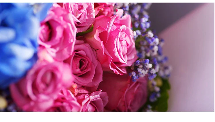 images_06