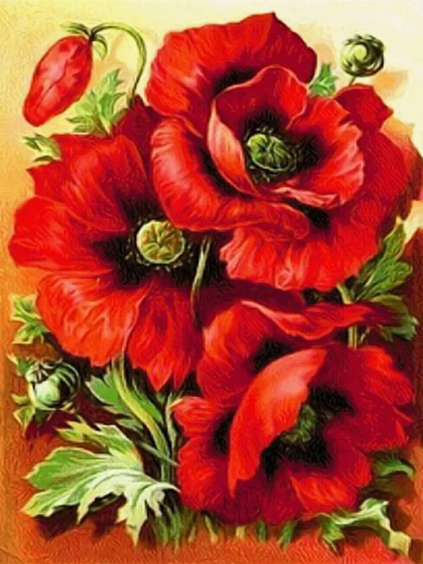 HTB1EZuzQFXXXXc1XpXXq6xXFXXXB