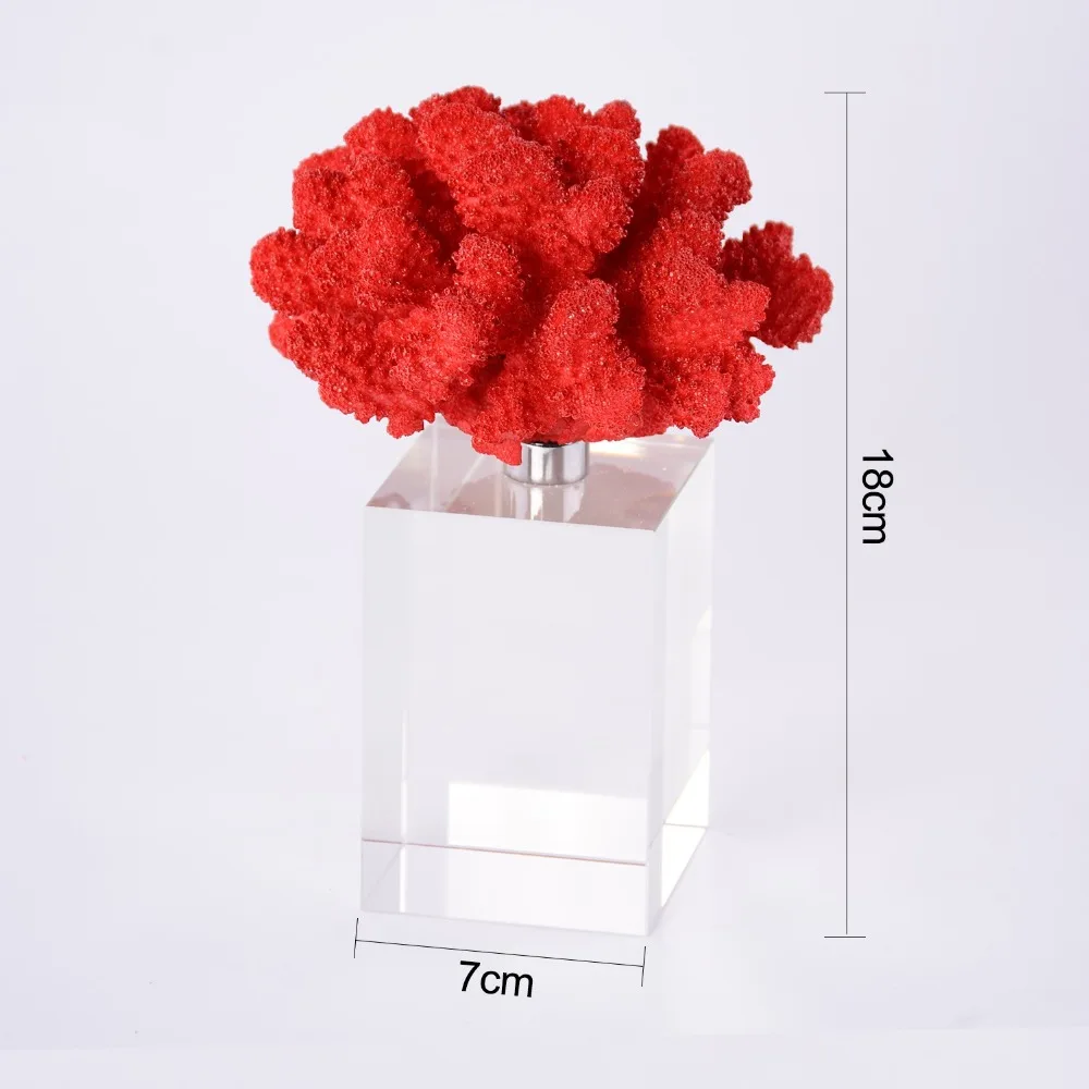 5cm